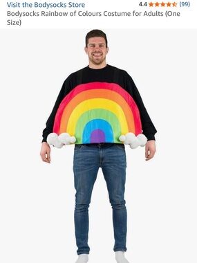 Rainbow Costume with arm straps, size Adult.